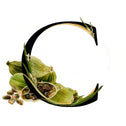 Description image