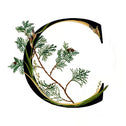 Description image