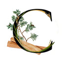 Description image