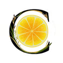 Description image