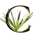 Description image