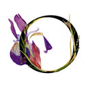 Description image