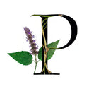 Description image