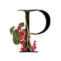 Description image