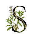 Description image