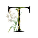 Description image