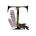 Description image