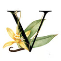 Description image