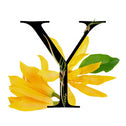 Description image