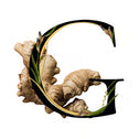 Description image