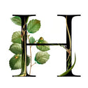 Description image