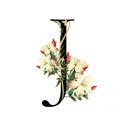 Description image