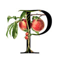 Description image